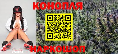 ешки Краснознаменск